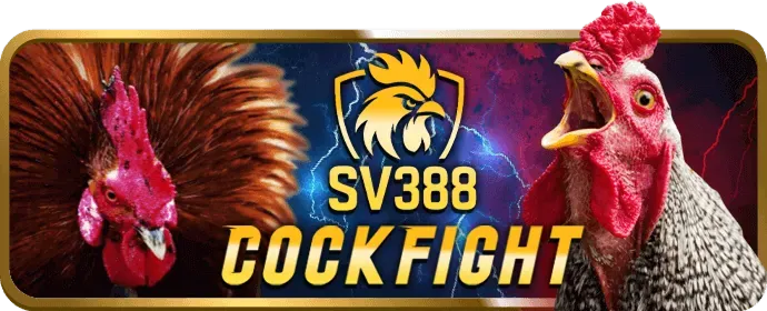 Hỗ trợ khách hàng 24/7 tại ee888 apk